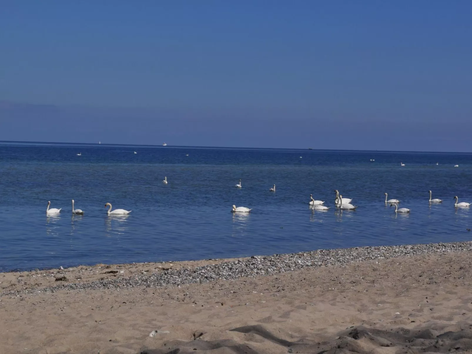Entspannen auf der Südterrasse-Dehors