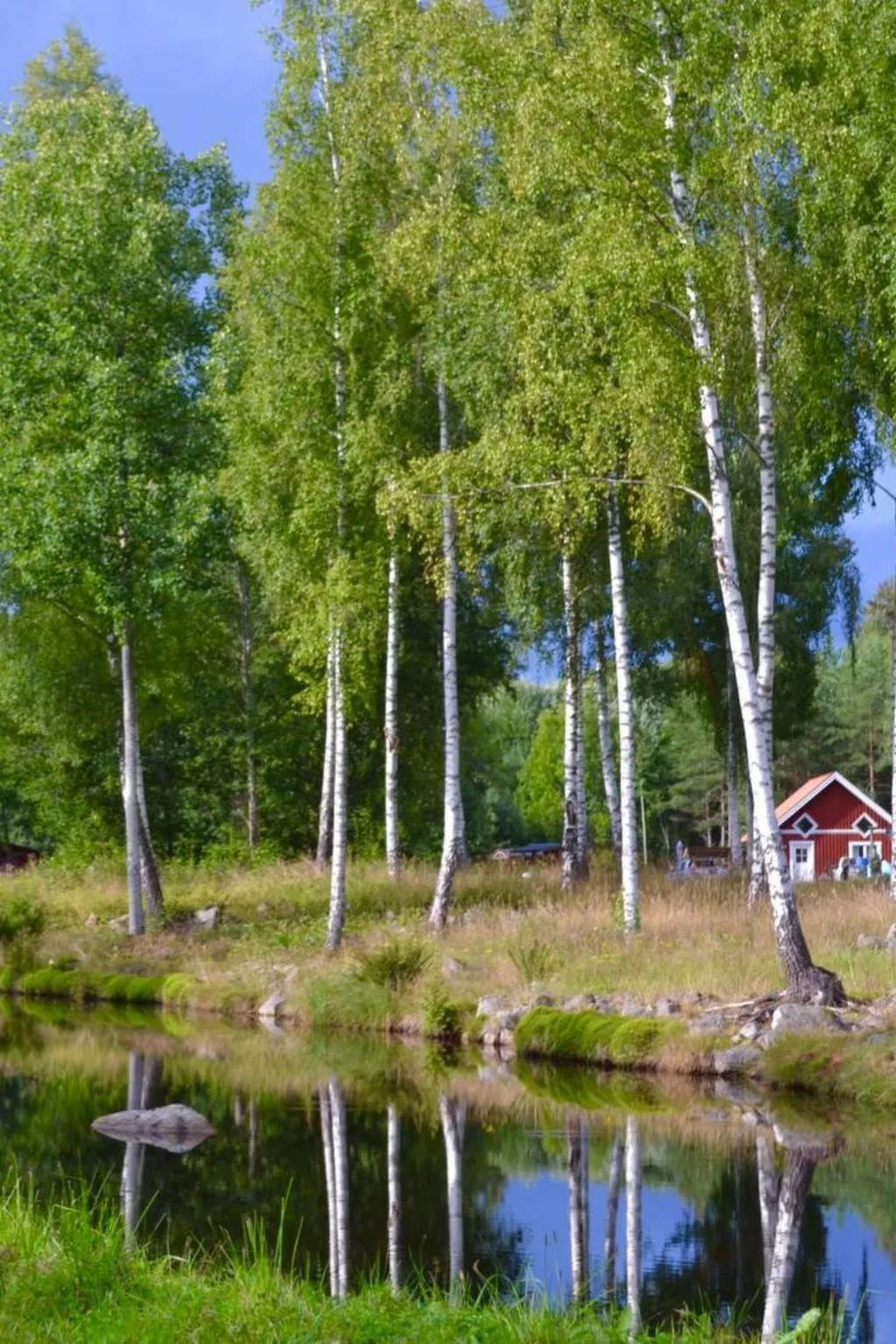 Särskilda-Image-tags.info