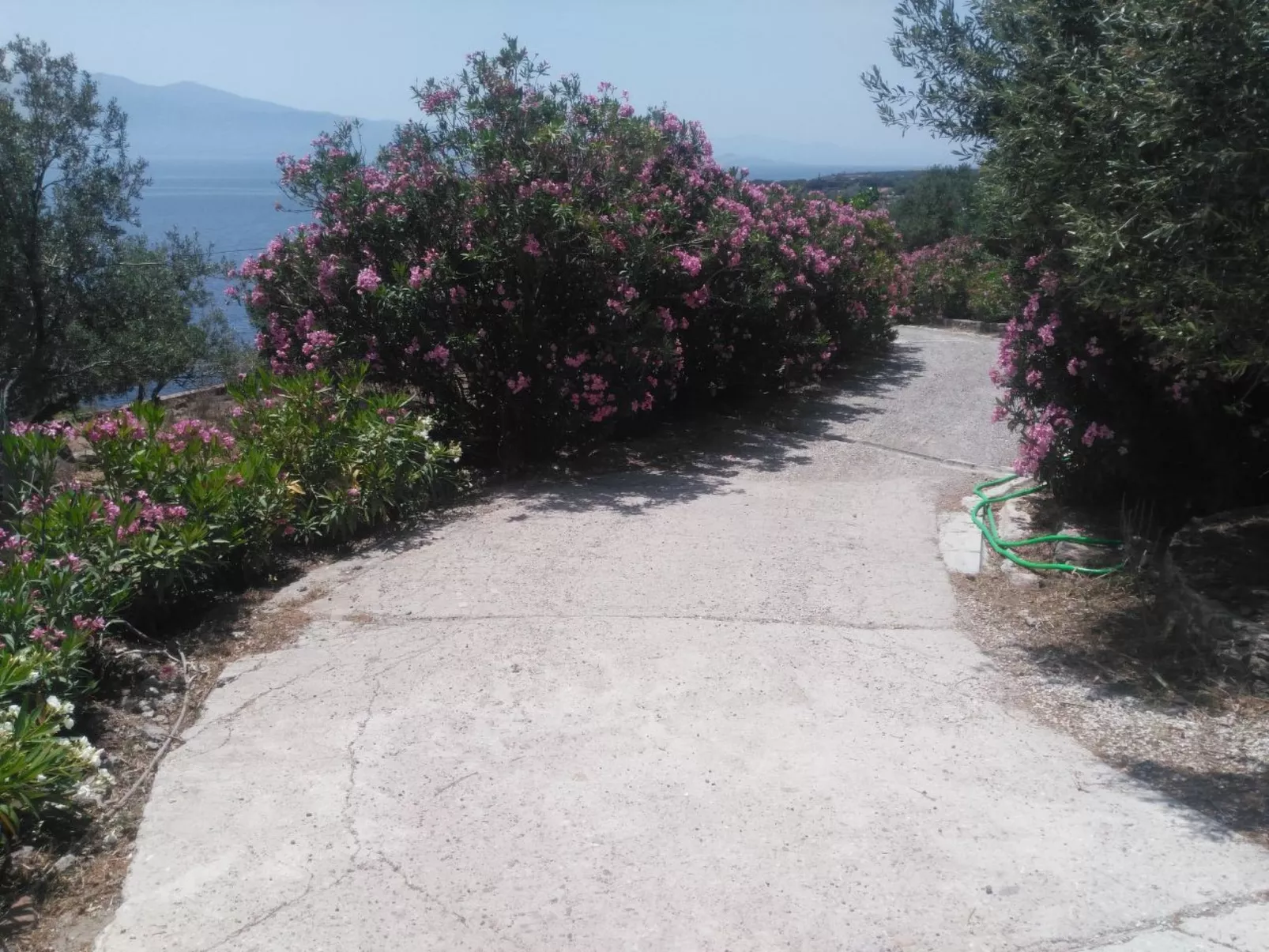 Assos Sivrice Gästehaus-Outside