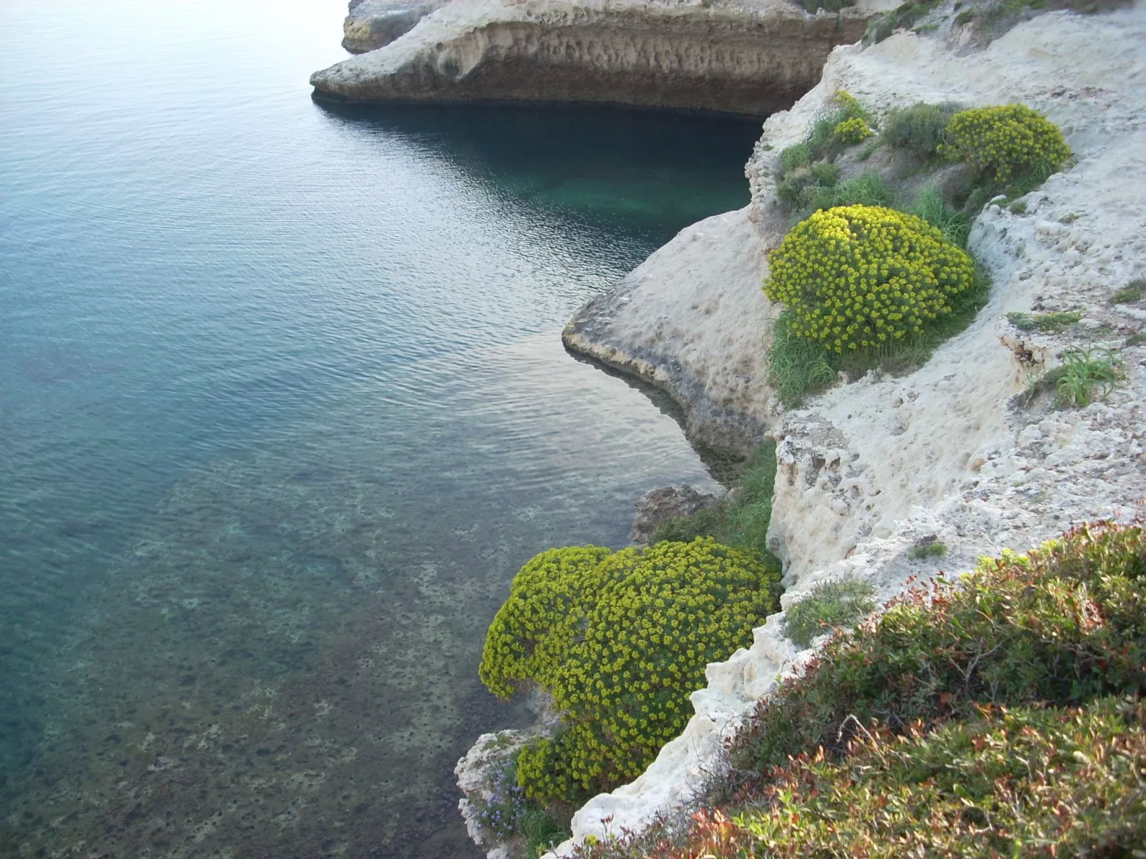 Wohnung S'archittu-Draußen