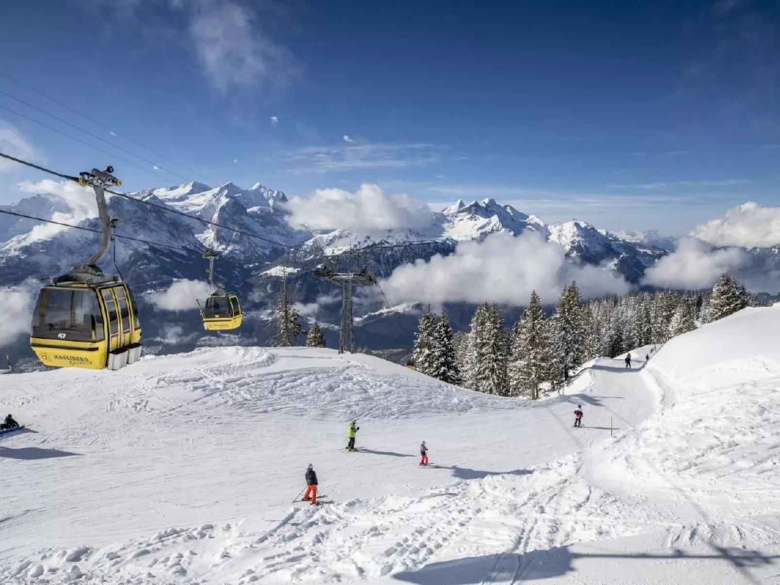 DAHEIM-Image-tags.info