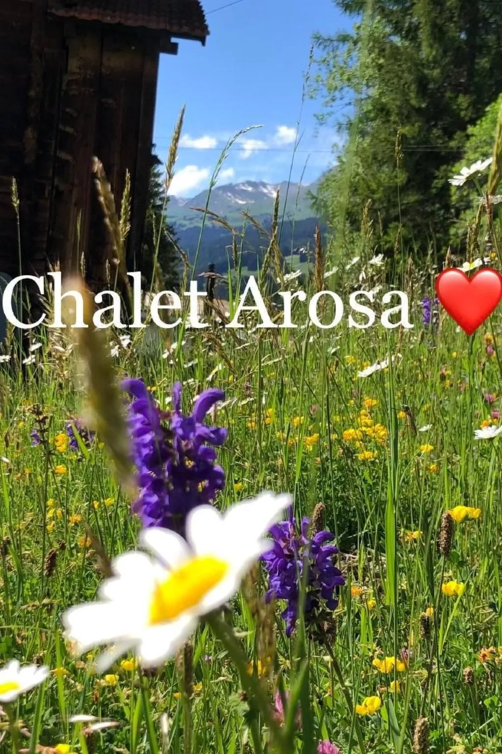 Chalet Arosa für 6 P-Outside