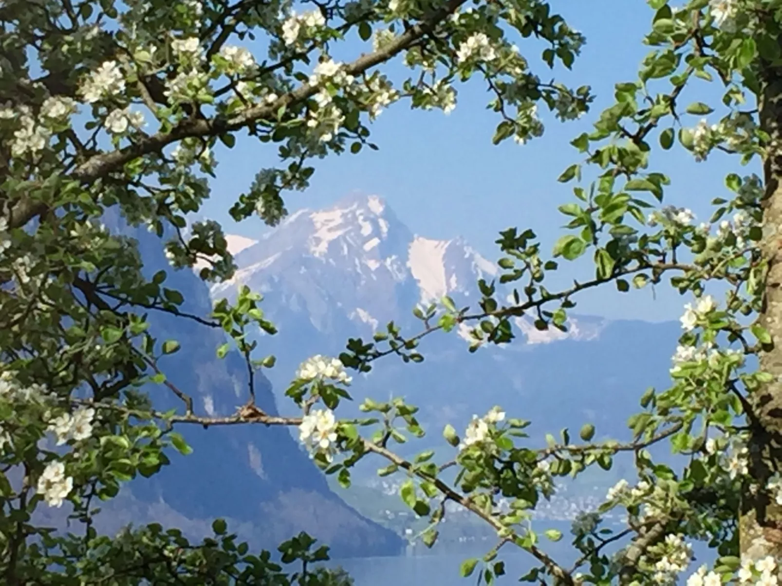Chalet Bärgblick-Dehors