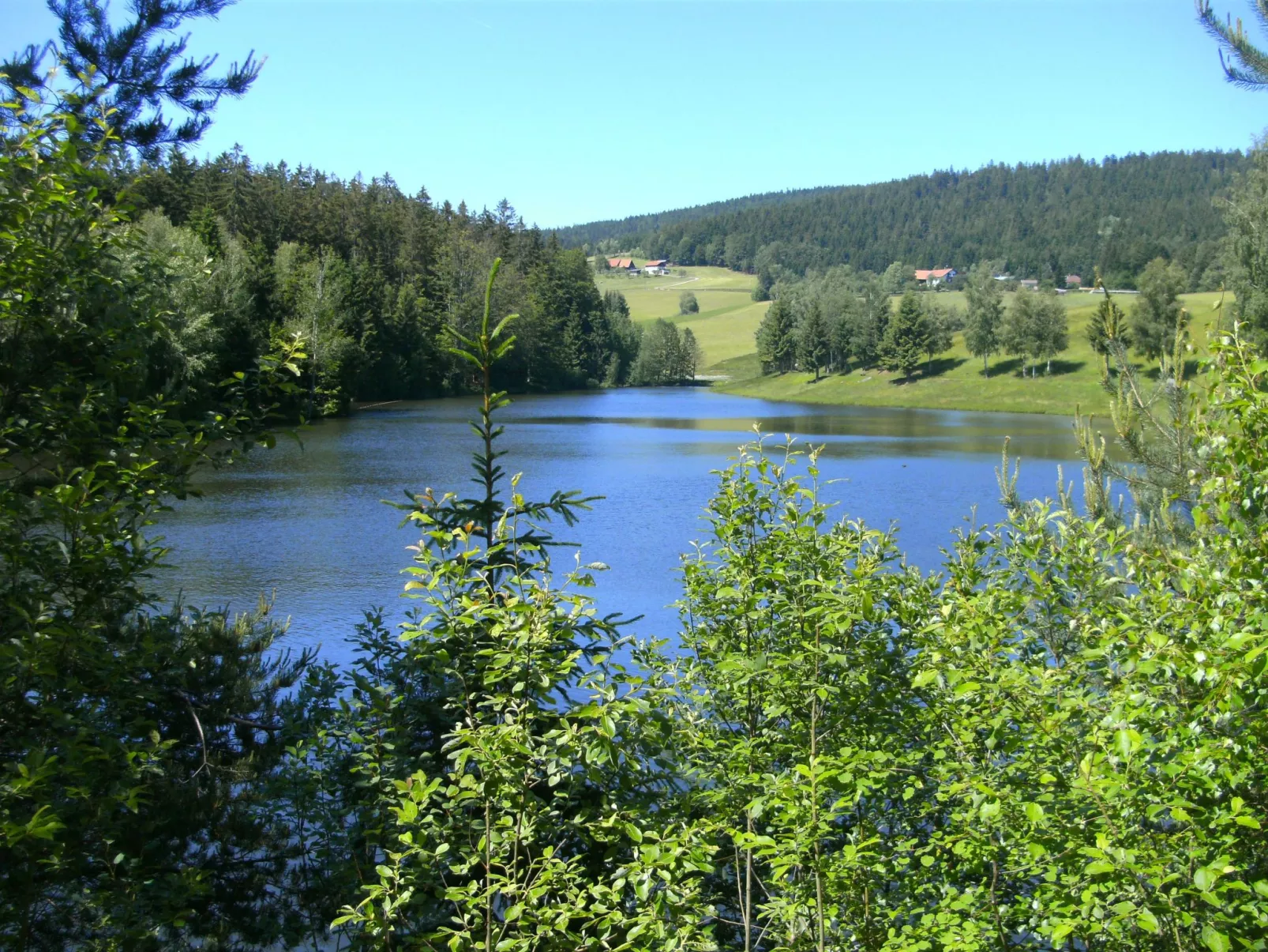 Für 4 Personen im Bayerischen Wald-Image-tags.info