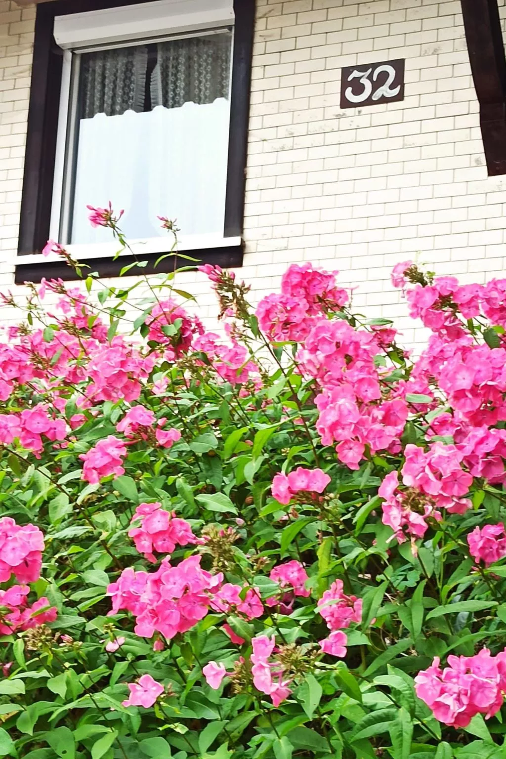 Gästehaus a Feldberg-Draußen