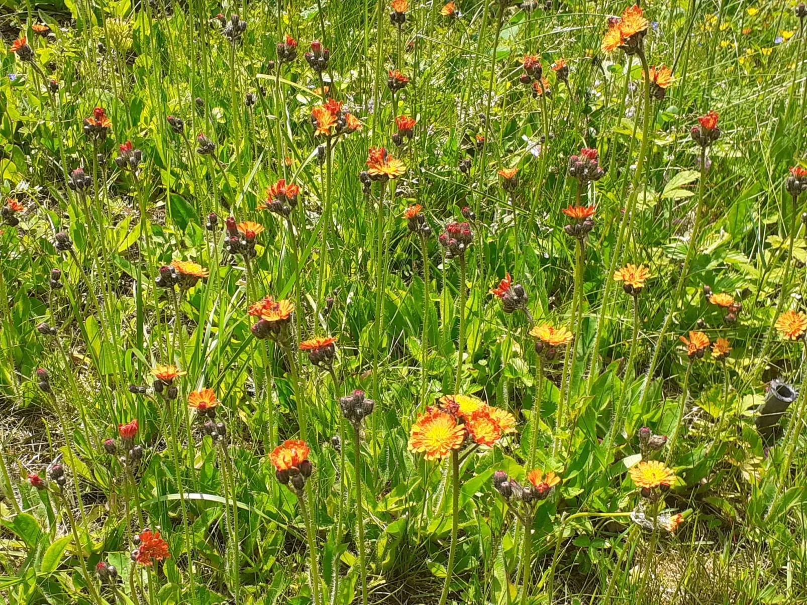 Feriendorf Bad Hundertpfund-Draußen