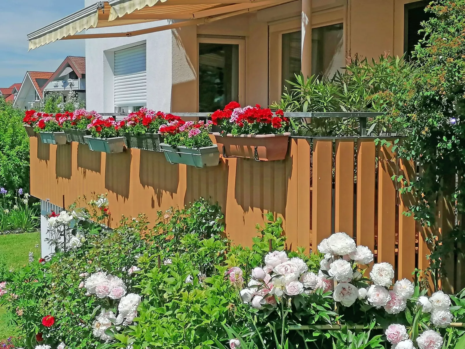 Ferien-Apartment-Draußen