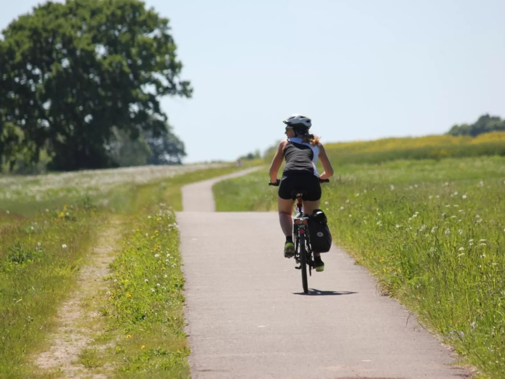 Müritzbrise groß in in Ludorf