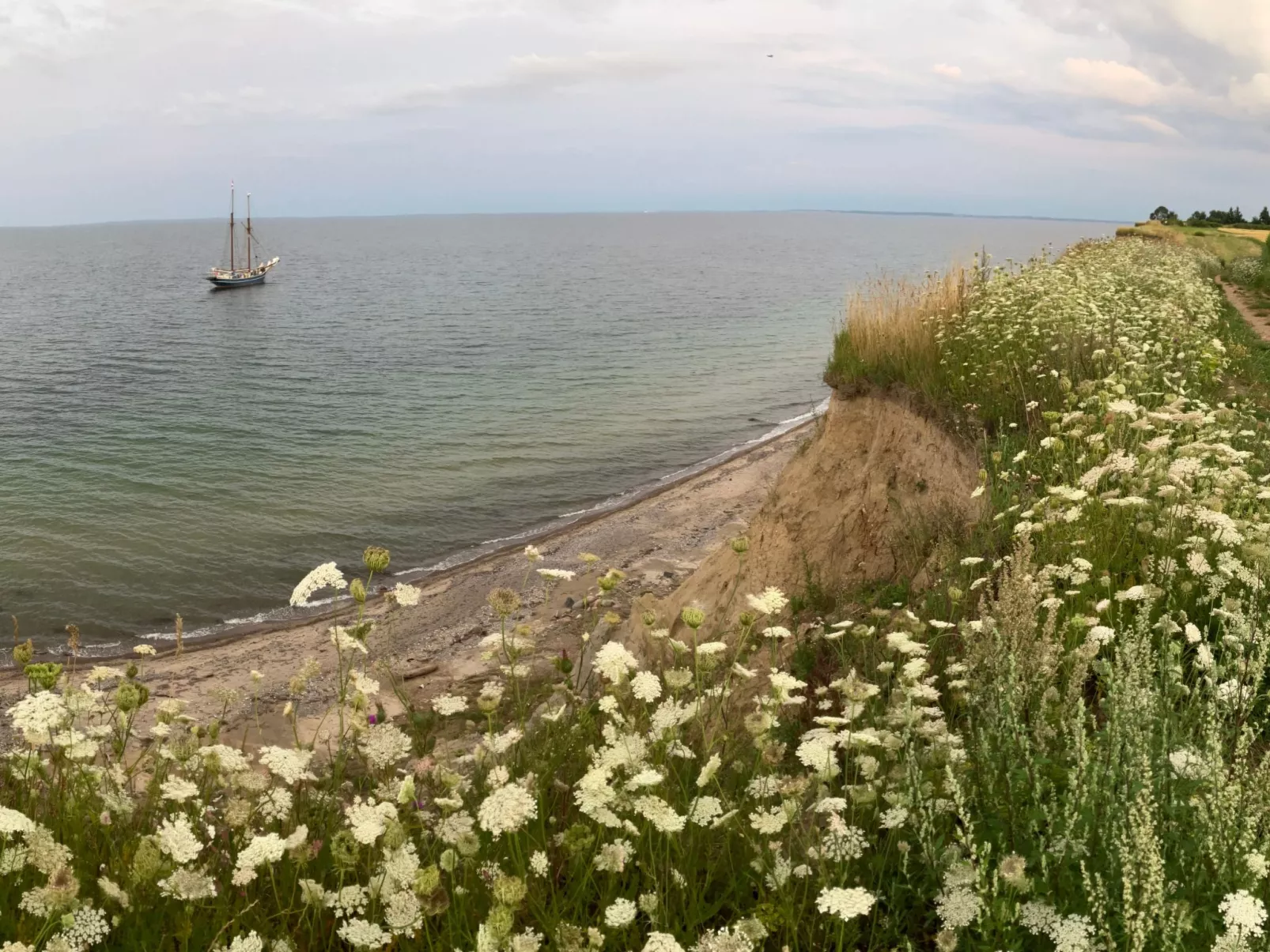 Wohnung Haus mit Herz in Brodersby-Schönhagen