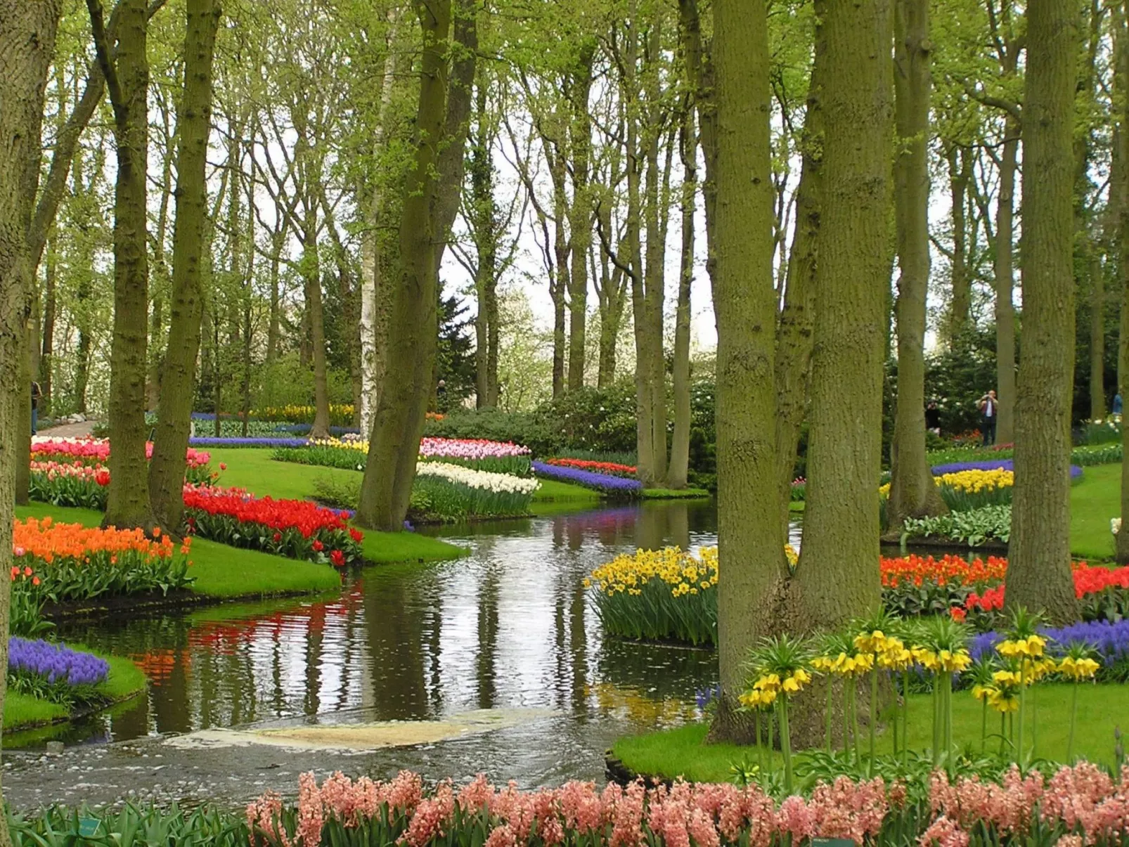 Aurora, Katwijk Zee-Draußen