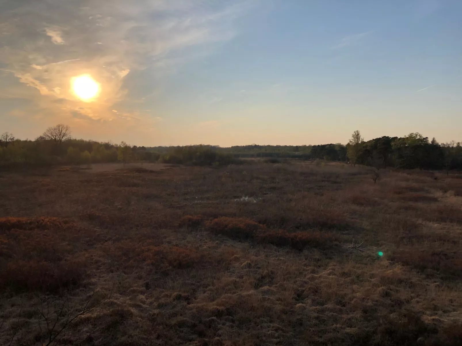 Geräumiges Ferienhaus mitten im Wald