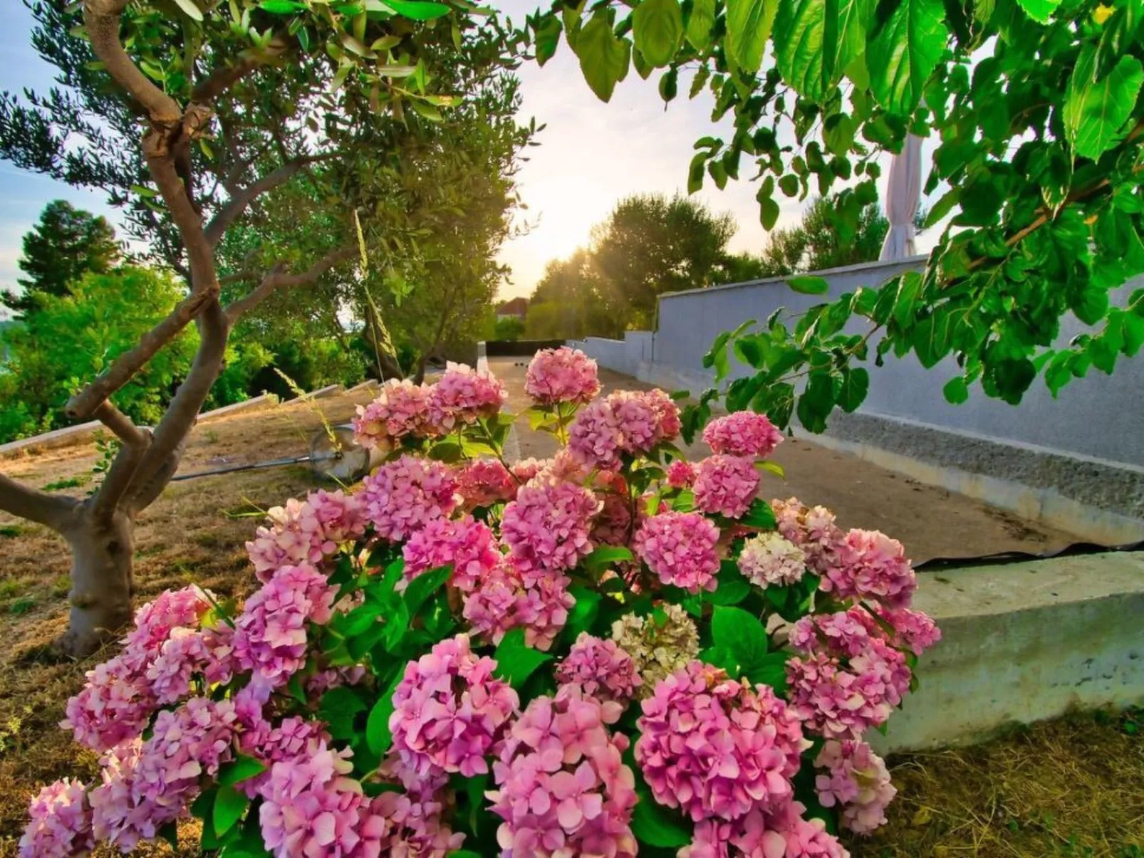 Villa mit herrlichem Meerblick-Draußen