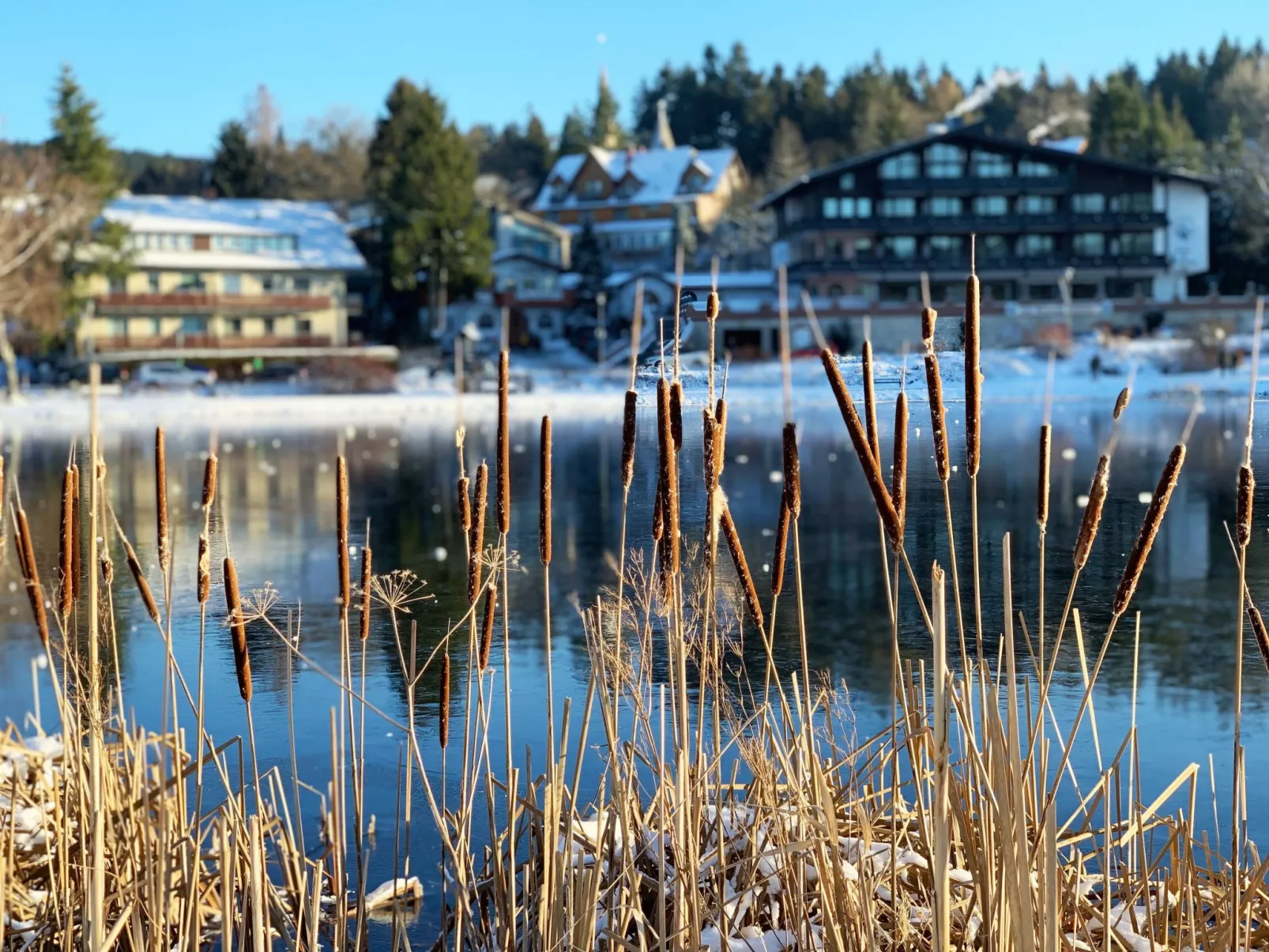 Ferienwohnung mit Infrarotwärmekabine-Draußen