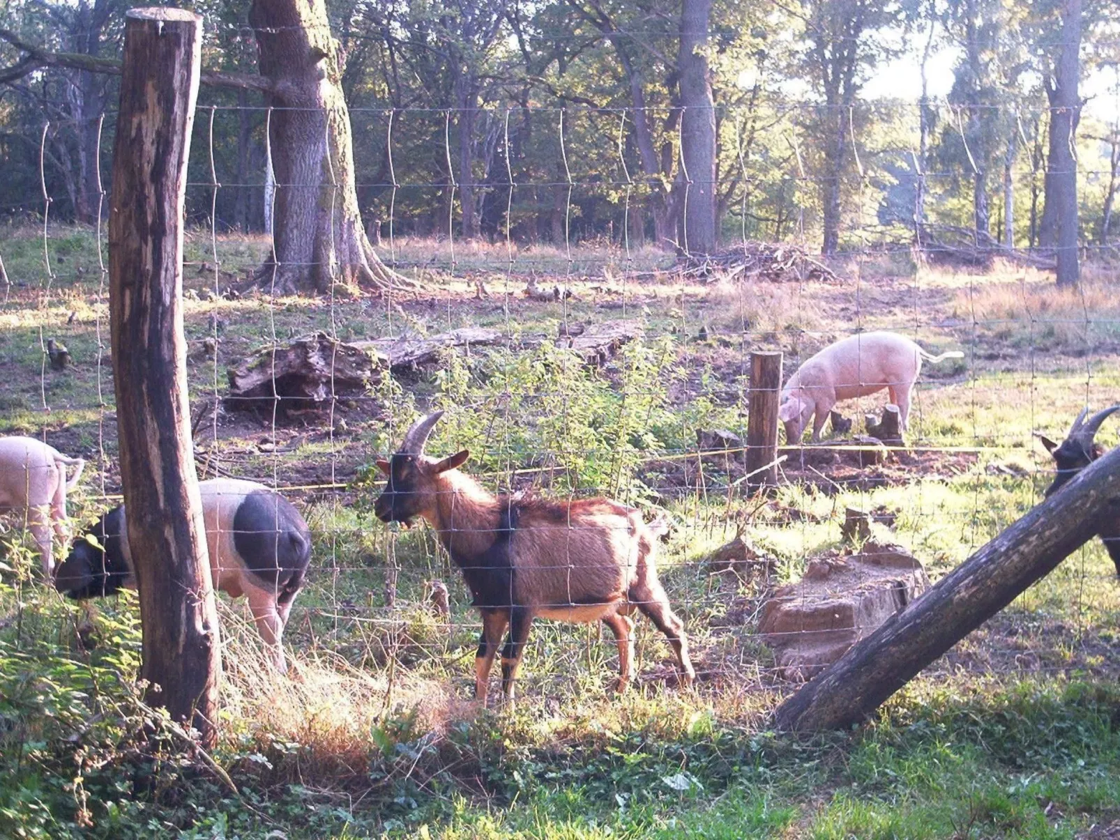 Fewo Stricker 11,-Image-tags.info