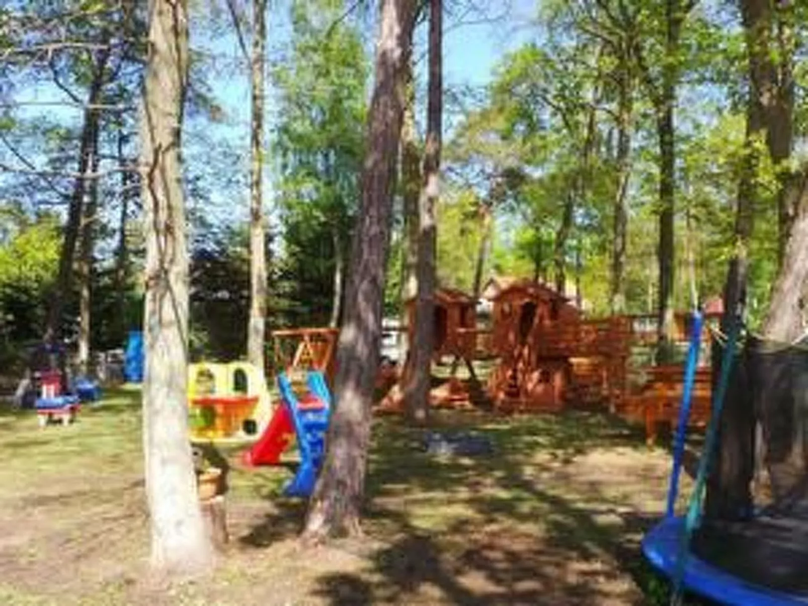 Nr. 6-Image-tags.info