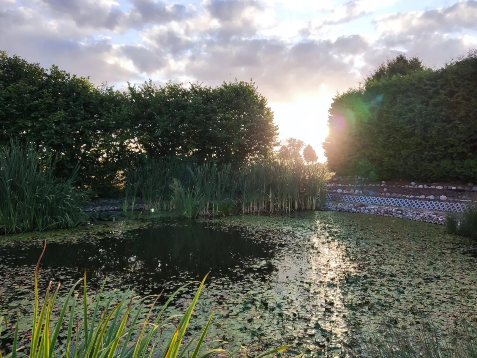 Mit Terrasse-Draußen
