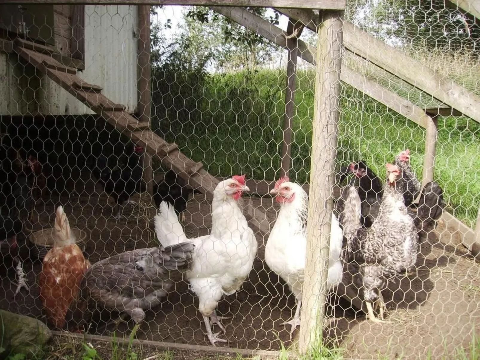 Hof Rodenkrog Fewo 1-Dehors