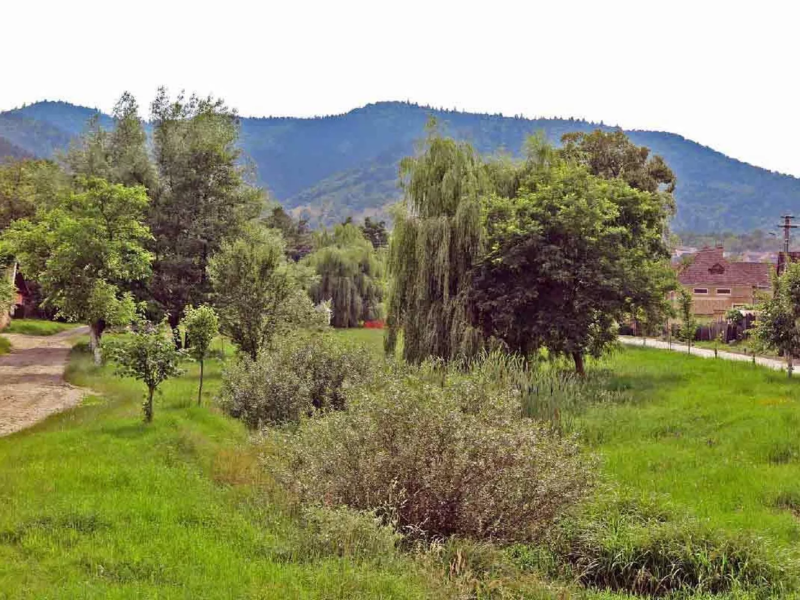 Casa Lopo - renovierter Bauernhof im Hirtendorf-Outside