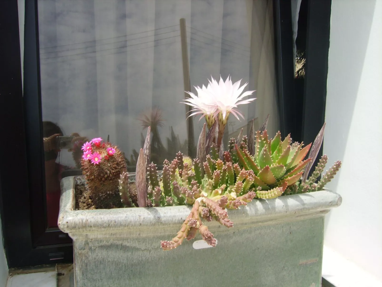 Kissonerga Apartment-Dedans