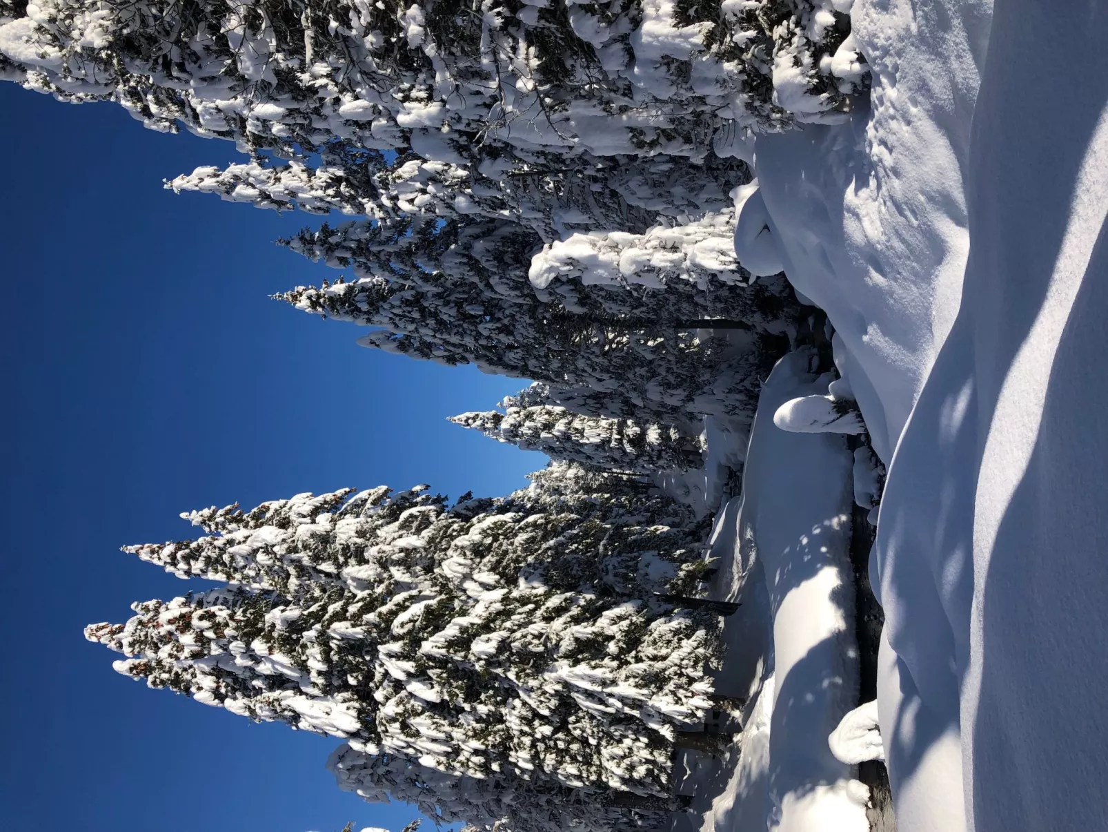 Sunny retreat-Outside