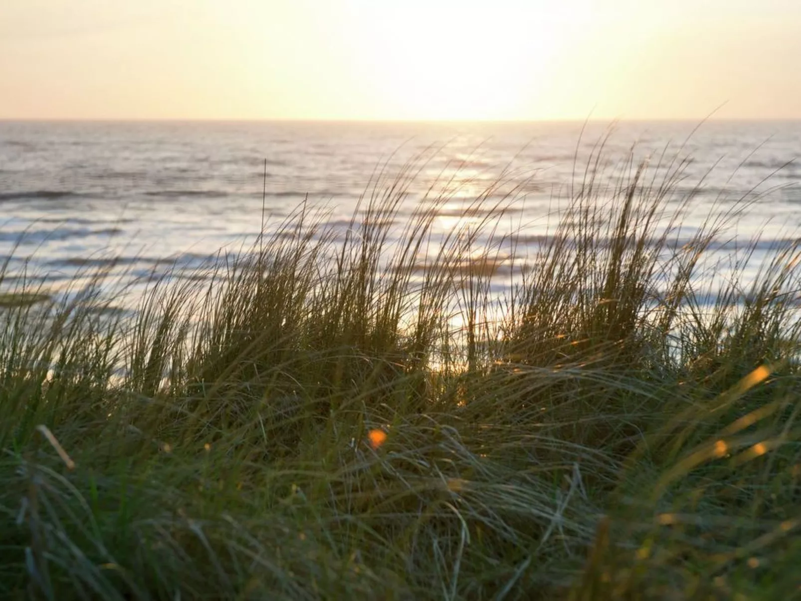 Ferienbungalow Abbes mit Garten und Terrasse