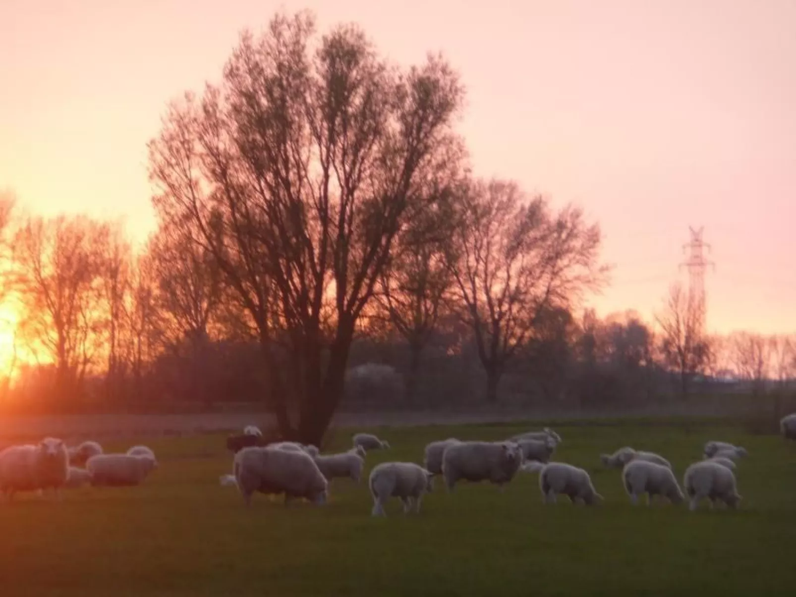 Gemütliches Ferienhaus am Deich mit Gartenzimmer