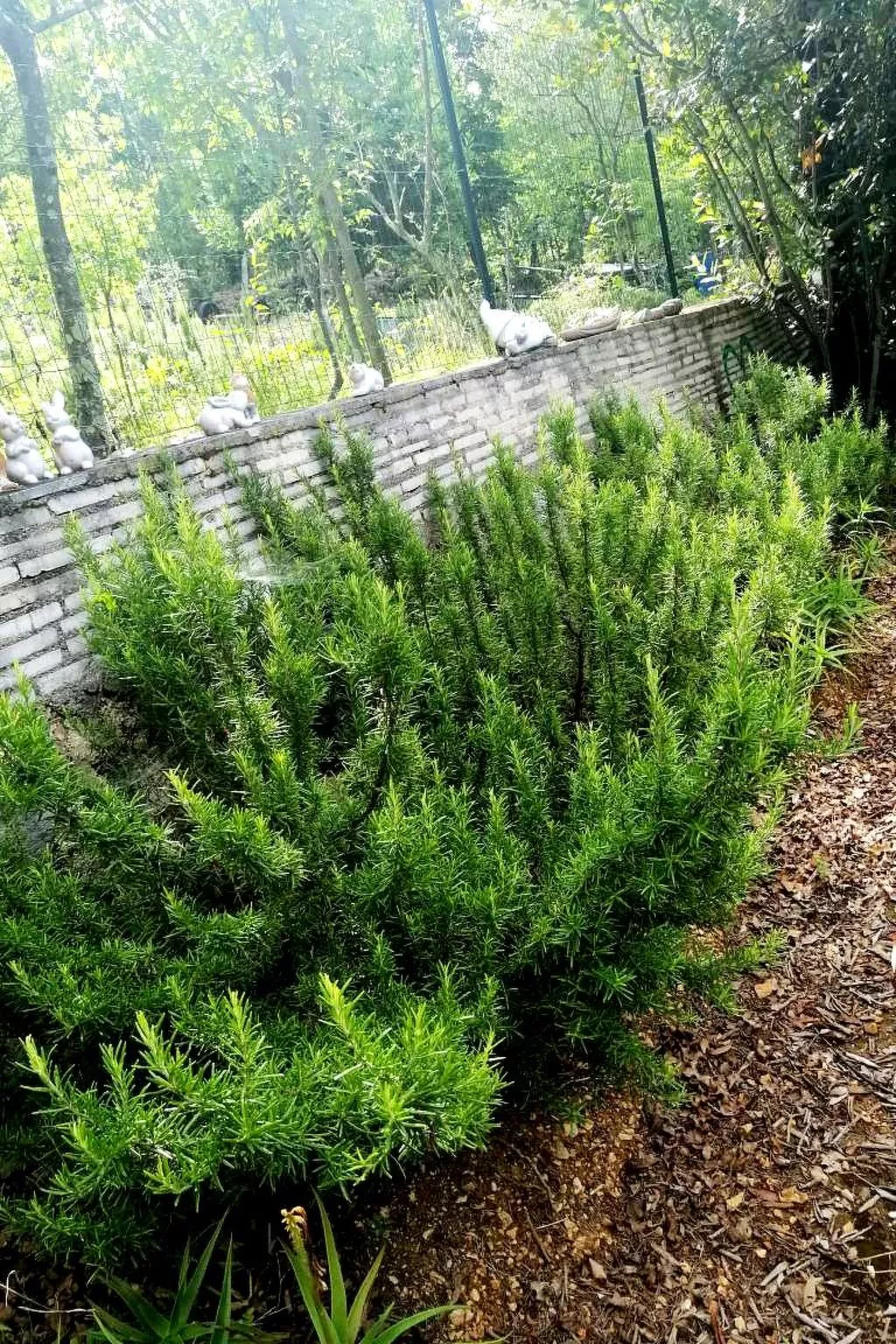 Haus La Dostana-Outside