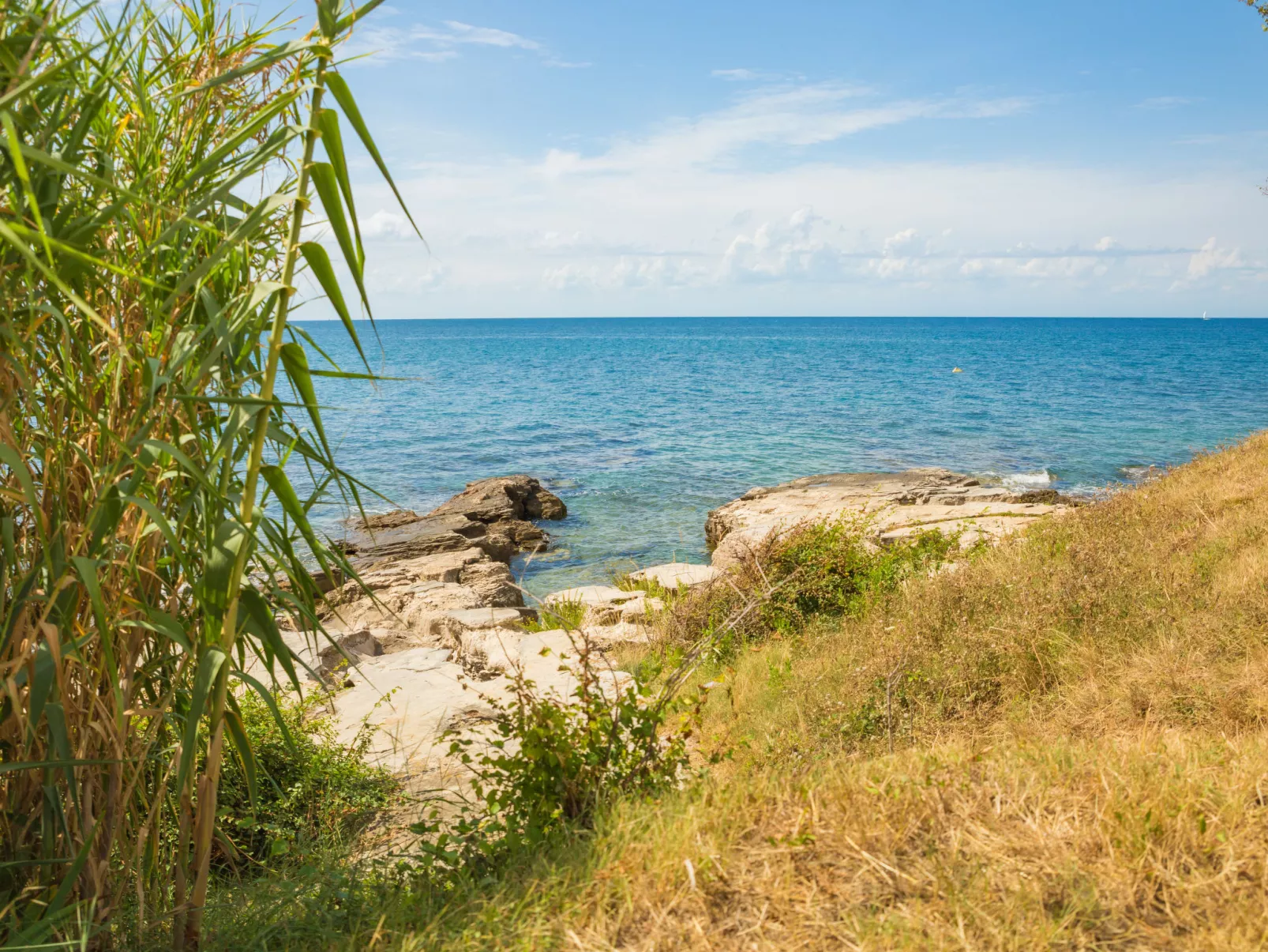 Apartment mit zwei Schlafzimmern in Strandnähe - Umgebung