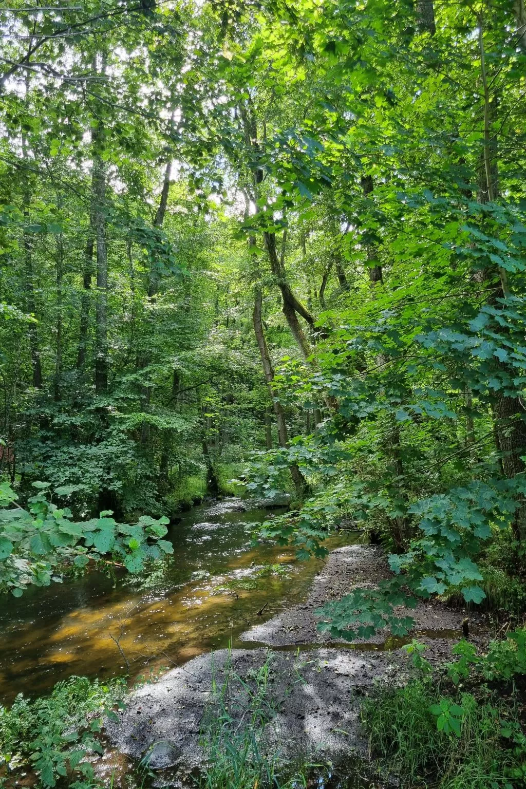 Lublewo21 Ferienhäuser - Draußen