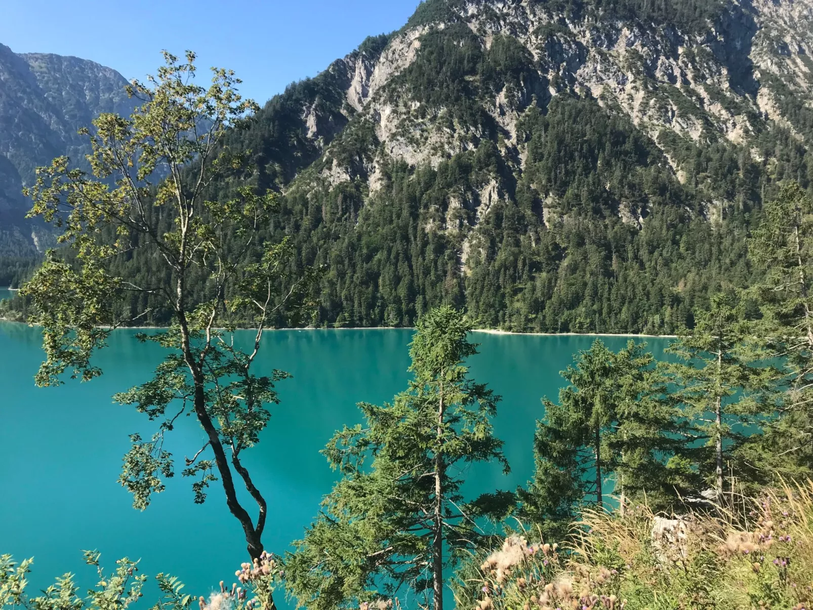 Pony-Ziegen-Hasen-Ranch in Bichlbach-Image-tags.info