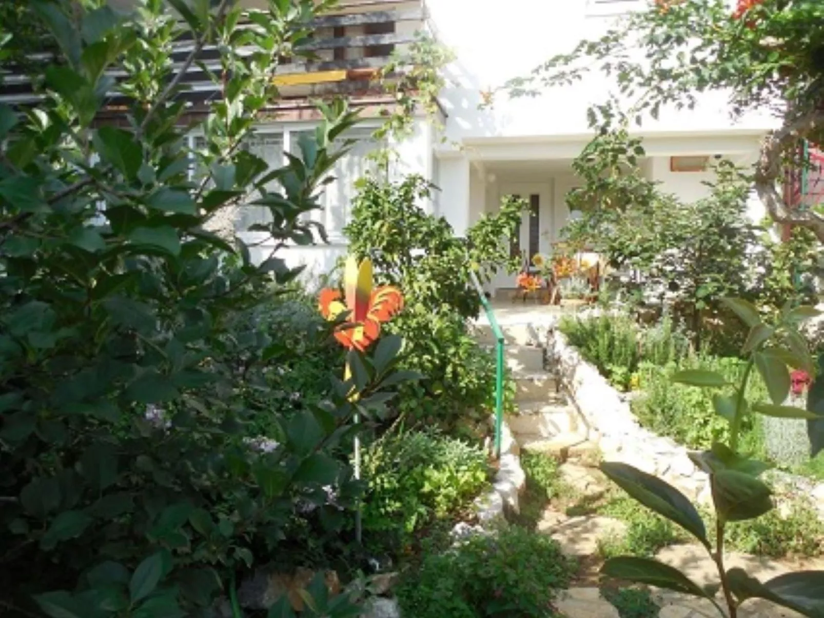 Azoa 3