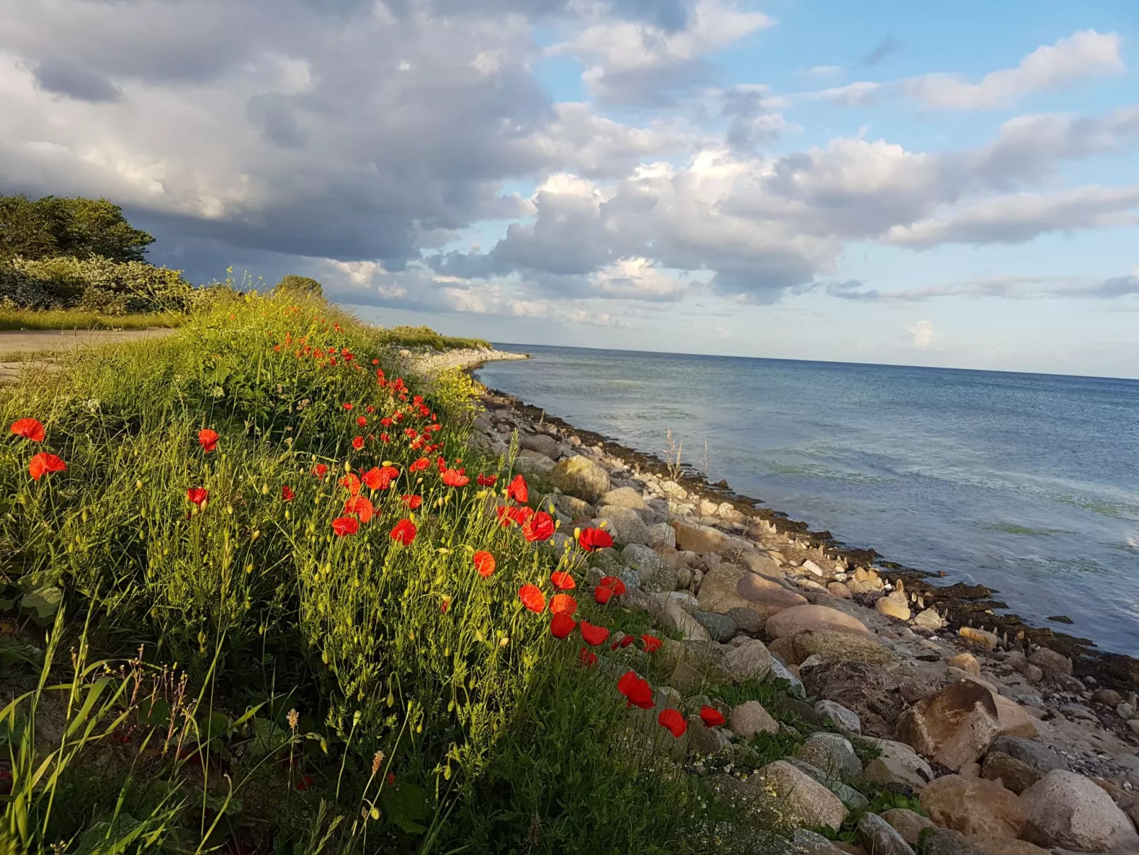 Portals Vells - Outside