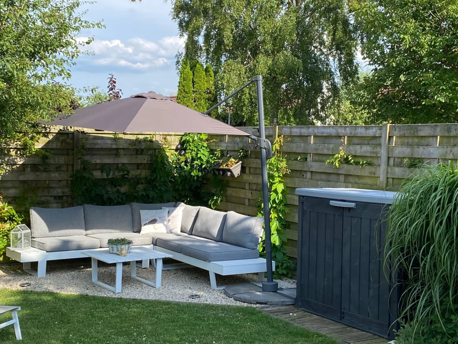 Zonneweelde bei Dünen und Wald-Inside