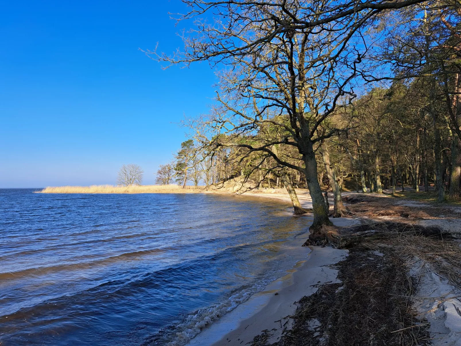 Mit Terrasse mitten im Grünen-Dehors