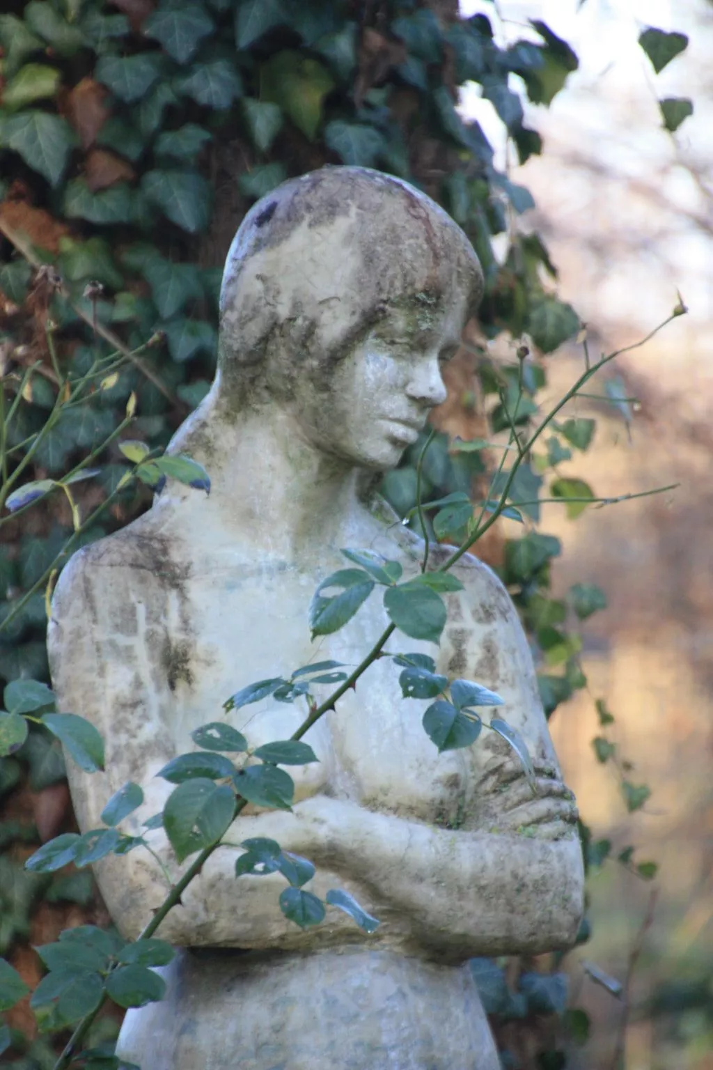 Wohlfühloase für Natur- und Gartenliebhaber-Dehors