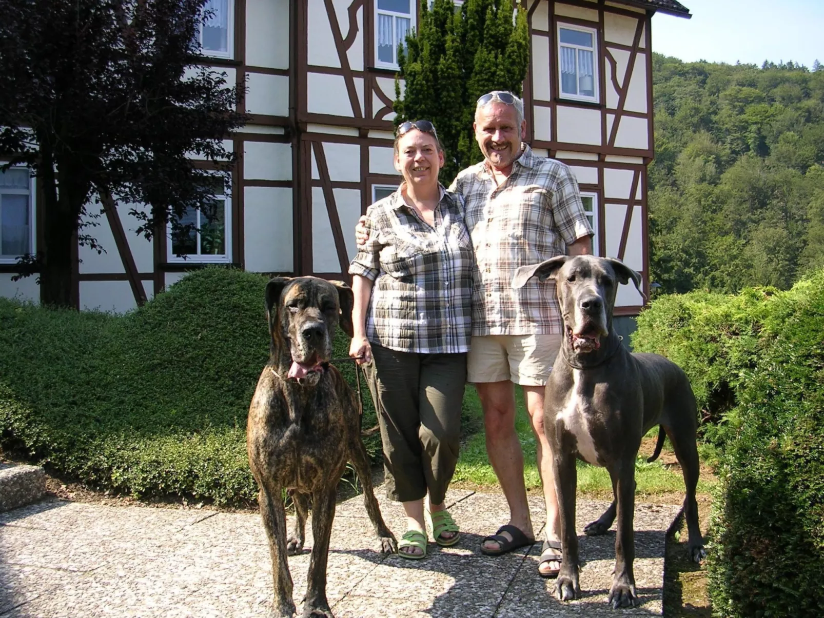 Der Falkenhorst-Outside