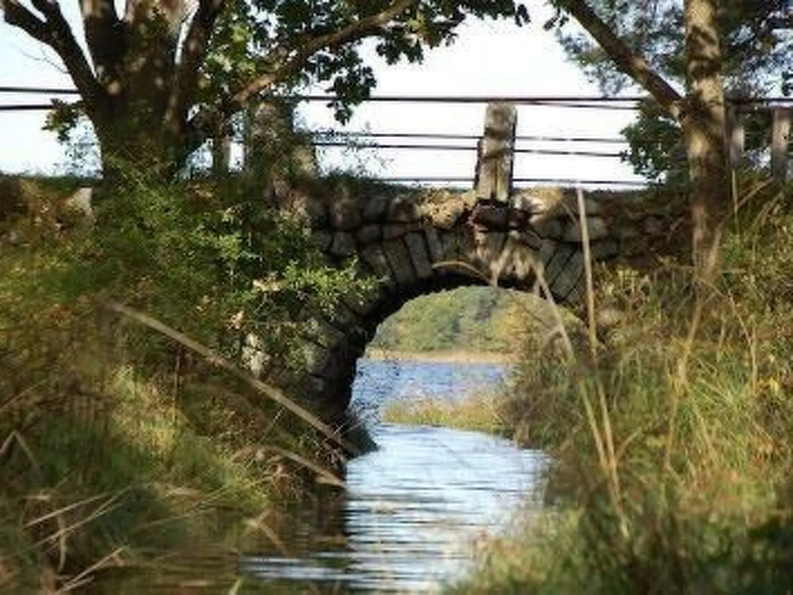 Holzhaus mit Terrasse, direkt an einer Bucht-Dehors