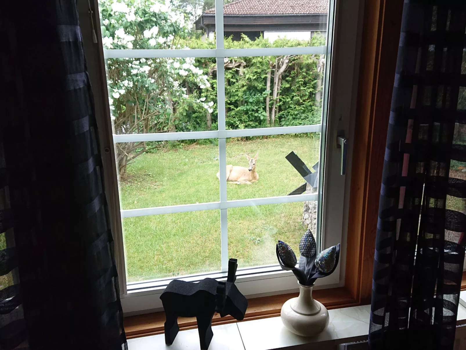 Familienfreundliches Ferienhaus mit großem Garten-Dehors