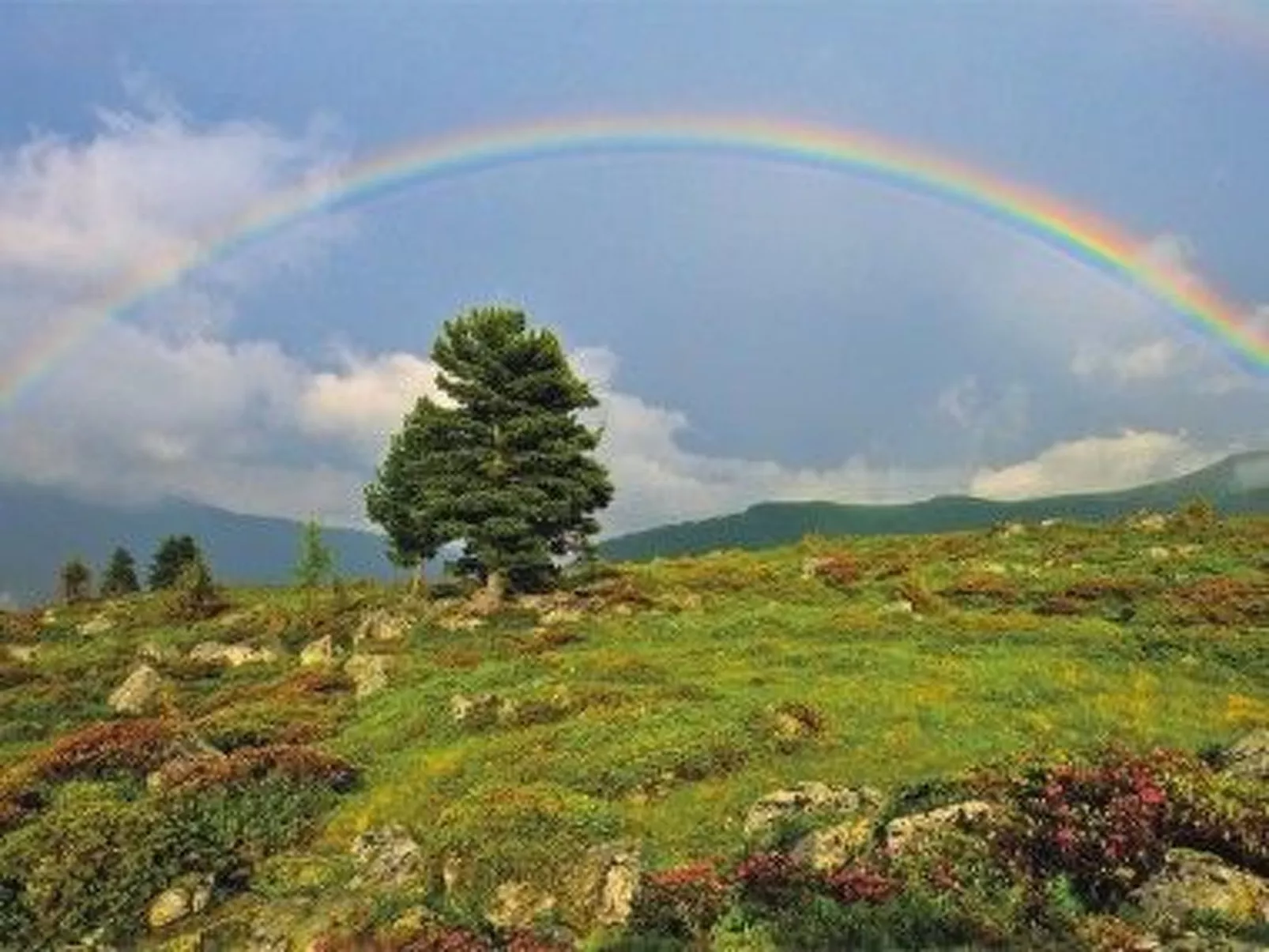 Martina top 2-Outside