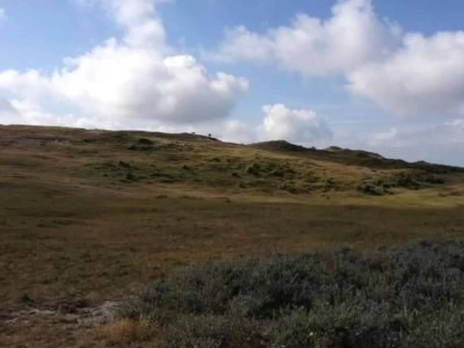 Mit Terrasse-Outside