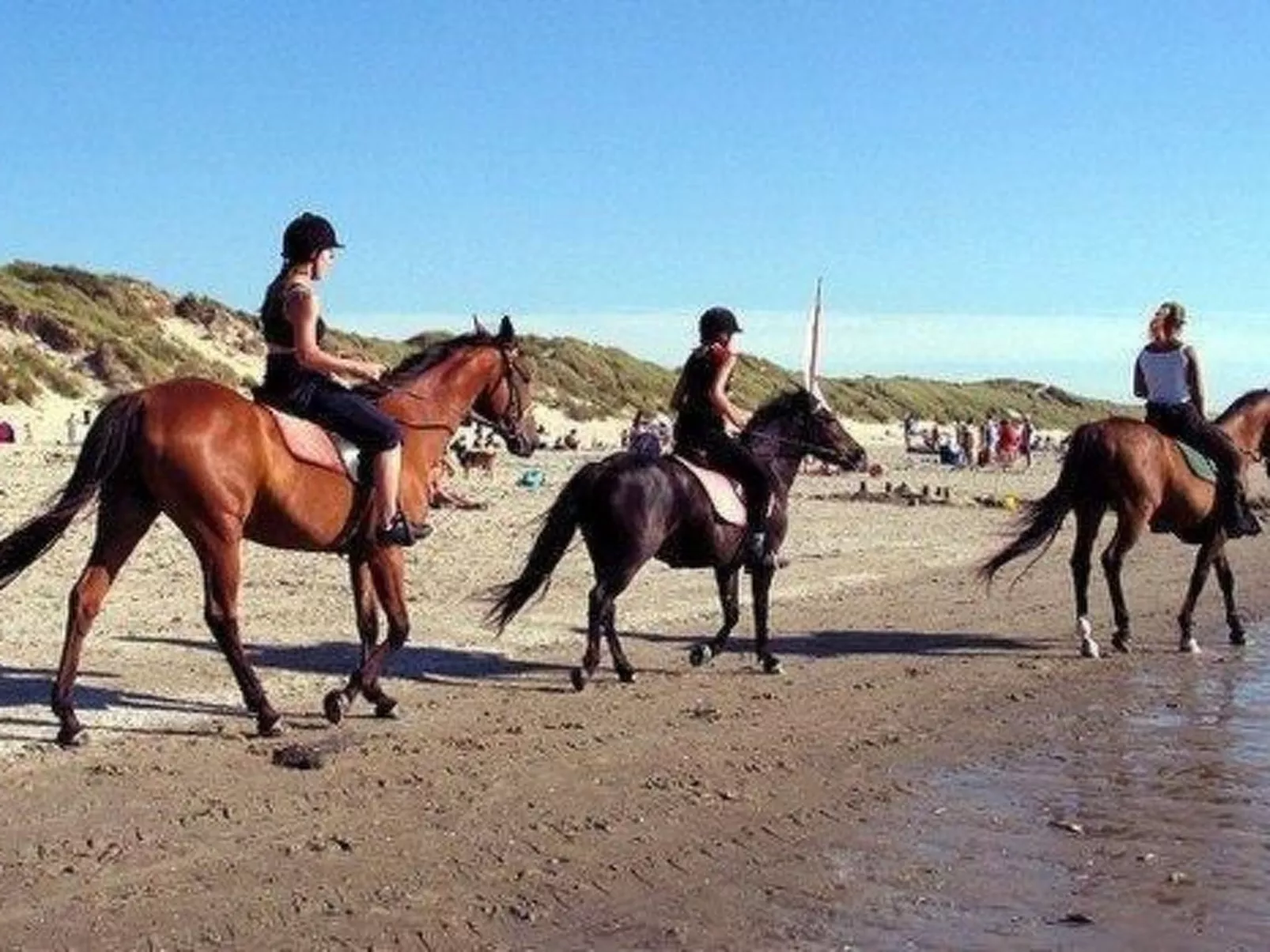 Gemütliches Ferienhaus De Blenck