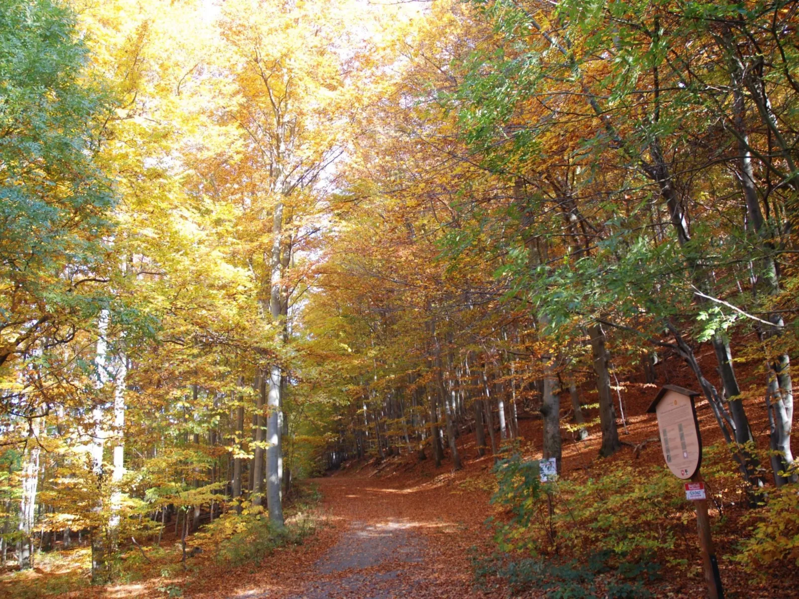 Fewo Burgbergblick-Outside