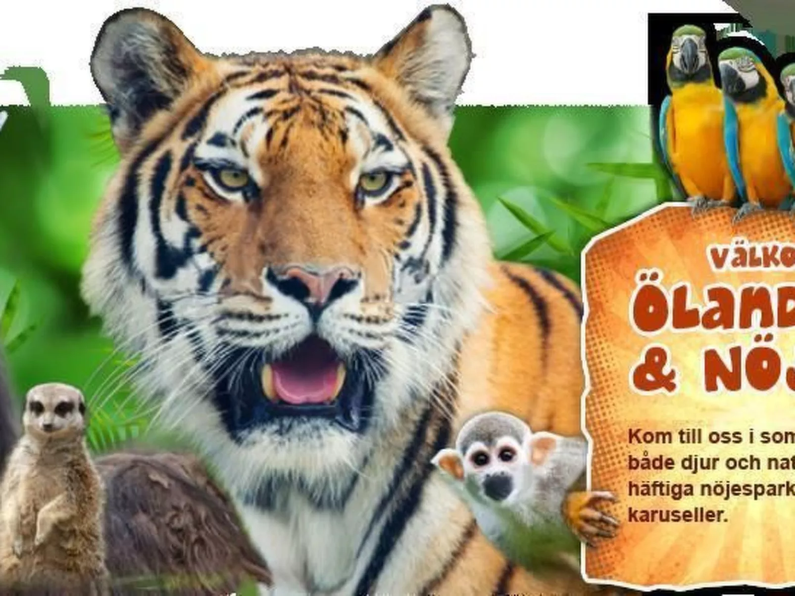 In Drag mit Möblierter Terrasse-Draußen