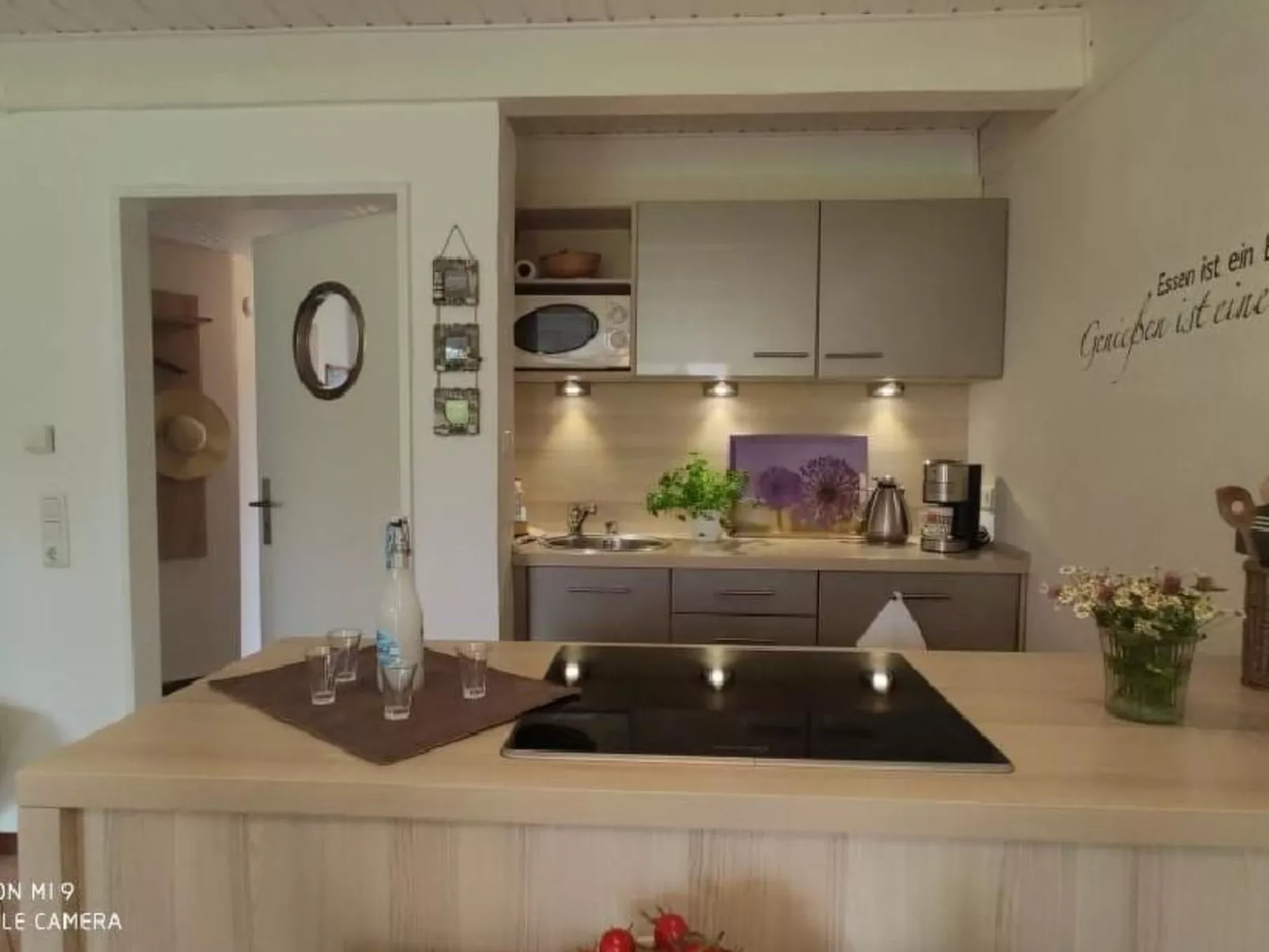 Koje mit Schleiblick