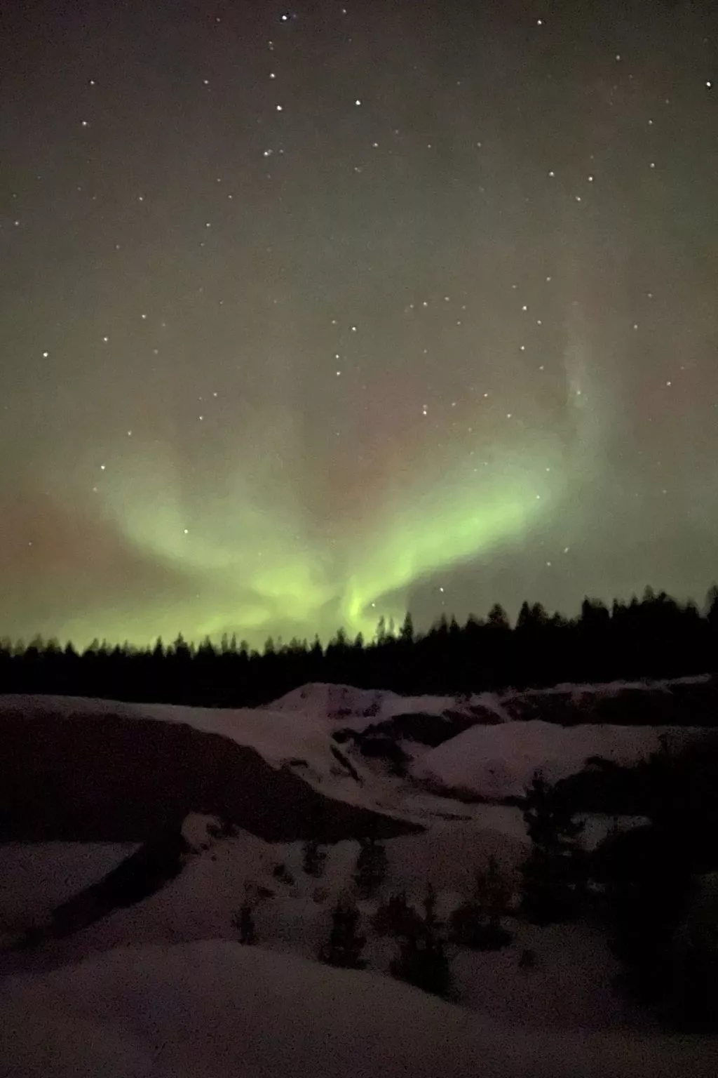 Gemütliches Ferienhaus am Polarkreis-Dehors
