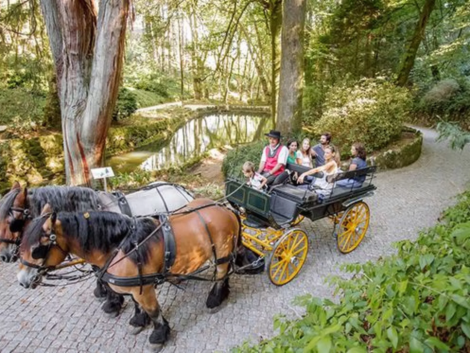 Schöne Wohnung in Azenhas Mar mit großem Garten-Draußen