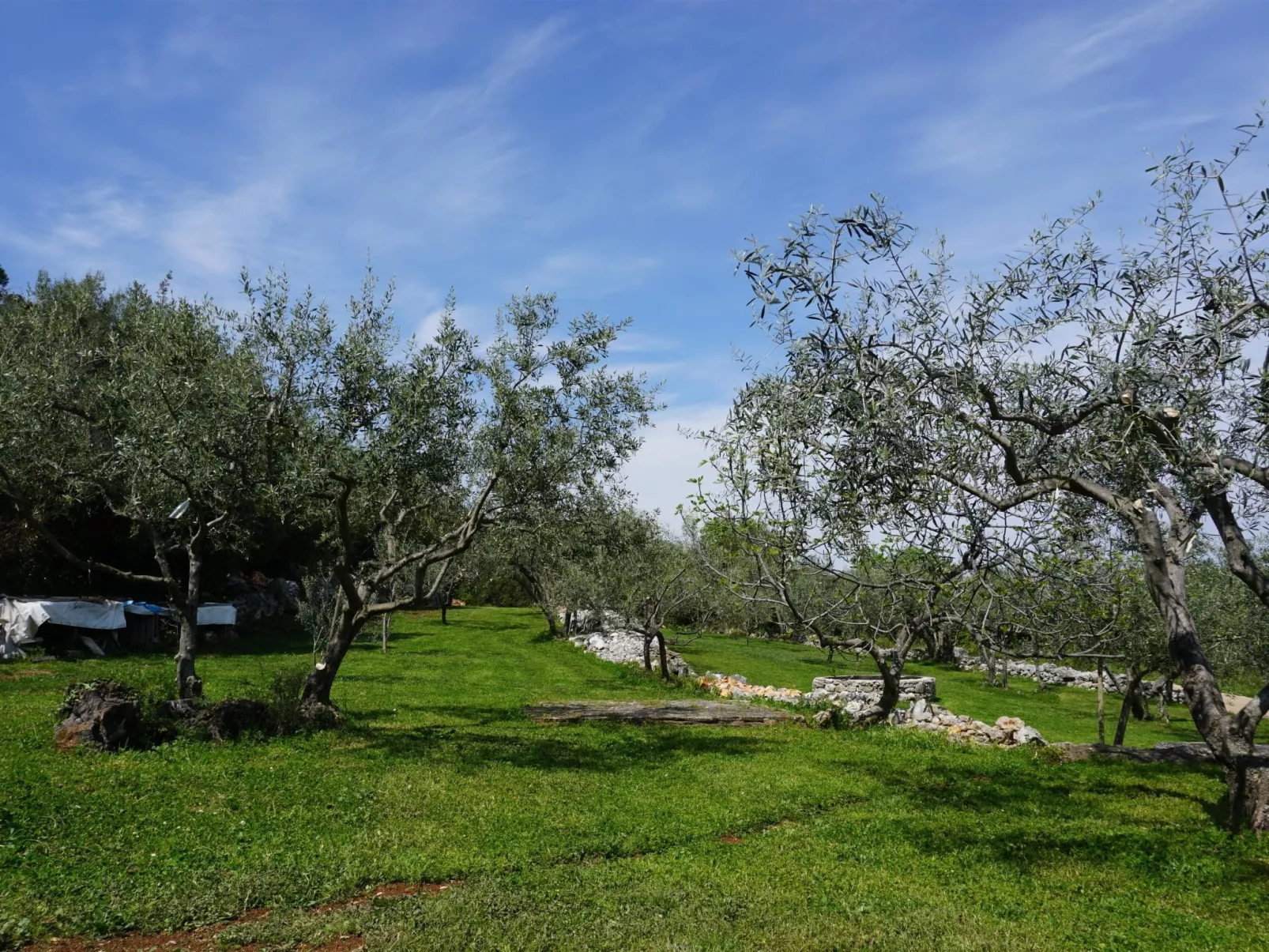 "Istria" mit eigenem Pool-Draußen