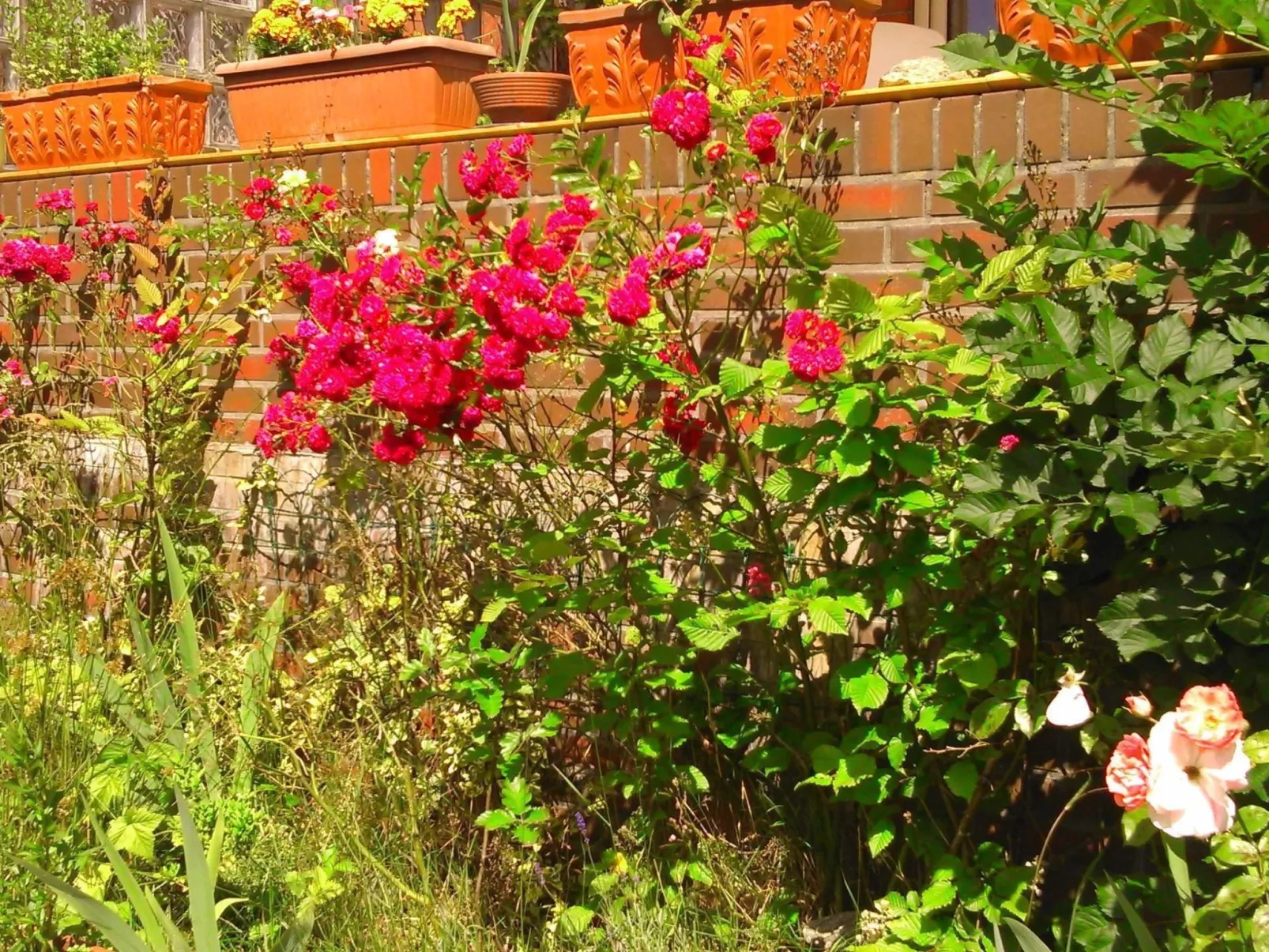 Wohnung in Altengroden mit Garten