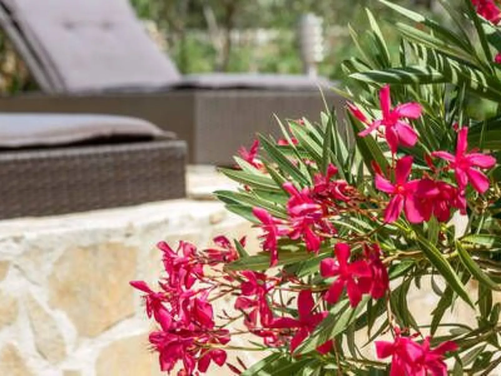 Hütte mit Garten, Grill und Terrasse