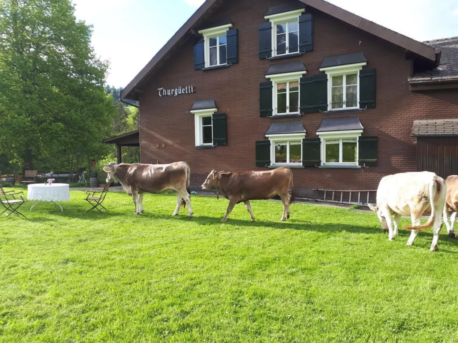 Studio Chic mit Whirlpool